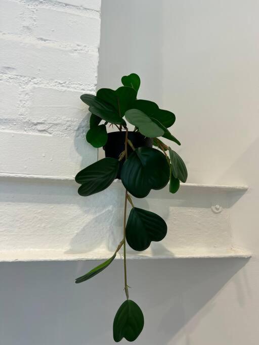 Appartement Cosy 생-샤몽 외부 사진